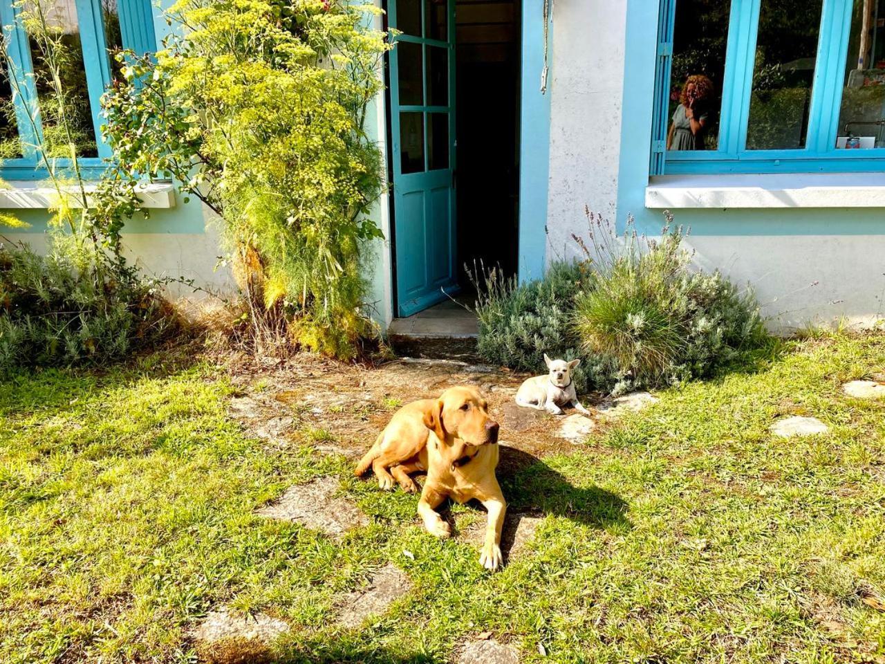 Willa Penty Legona, Authentique Et Chaleureux, 2-6 Pers Moëlan-sur-Mer Zewnętrze zdjęcie